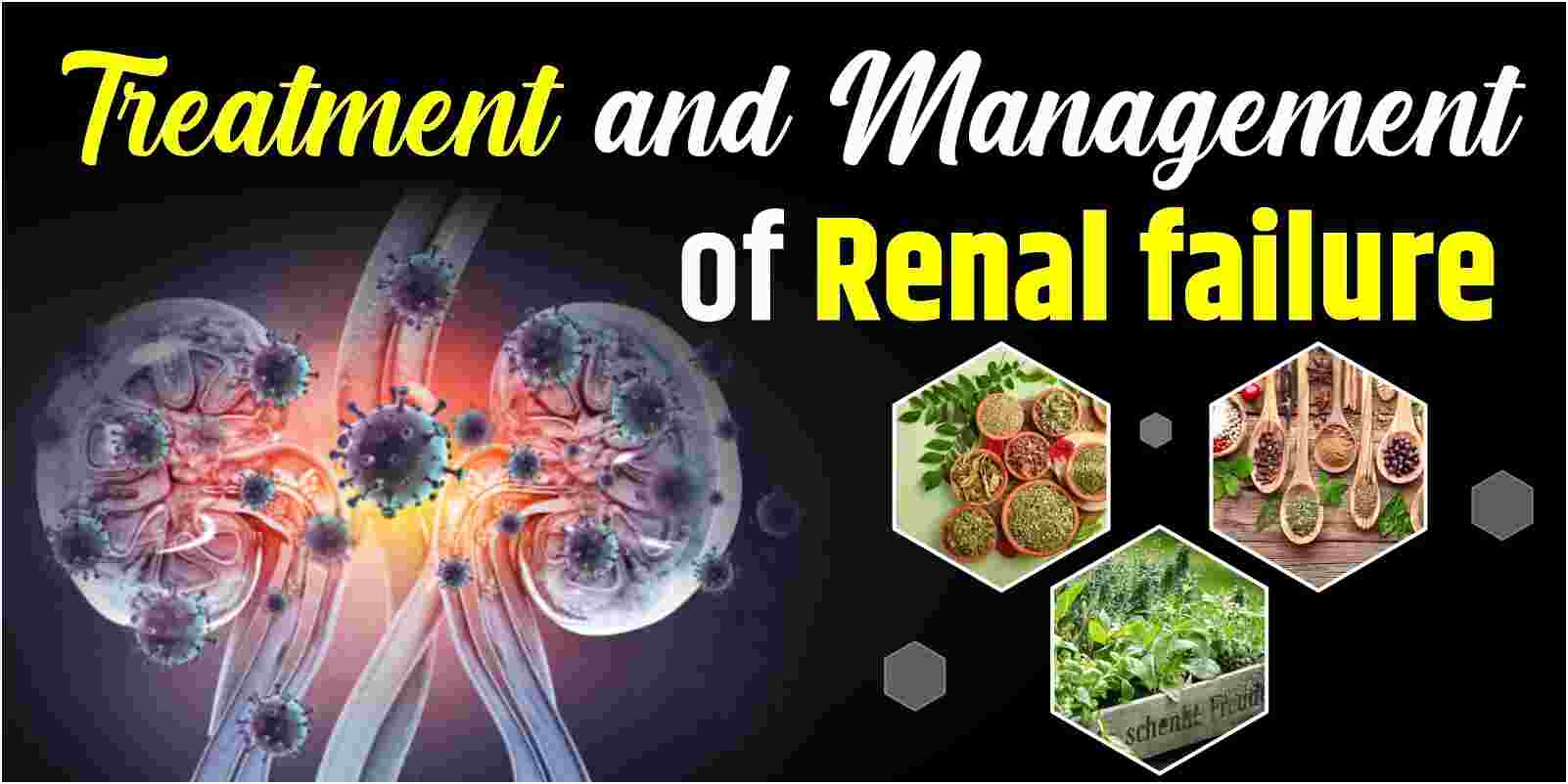 Treatment and Management of Renal Failure